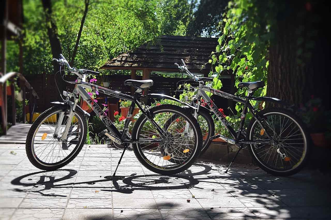 Готель Veniki-Club Ворзель Екстер'єр фото
